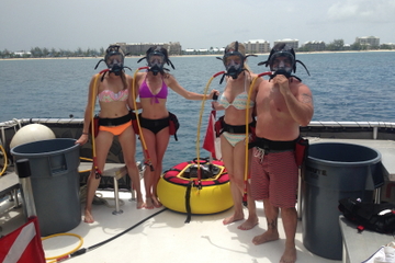 Grand Cayman Snookling Tour