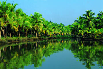 Group Shore Excursion: Backwater Houseboat Tour and Fort Kochi from Cochin Port