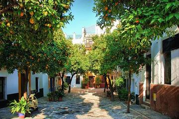 Guided tour Monuments of Seville