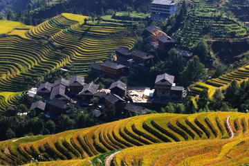 Guilin Bus Tour of Longji Rice Terraces at Ping'an Village