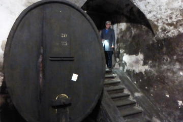 Half Day Chianti Wine Tour