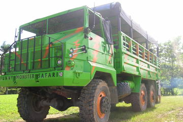 Half-Day Dominican Republic Safari Tour from Punta Cana