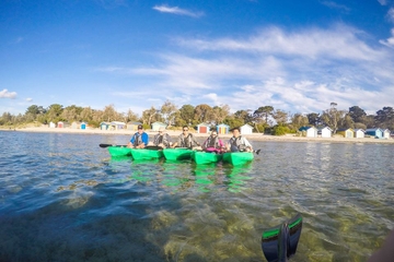Half-Day Guided Kayak Tour of Capel Sound from Rosebud West