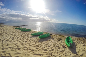 Half-Day Guided Kayak Tour of Port Phillip Bay from Rosebud West