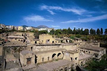 Half-Day Herculaneum Coach Tour