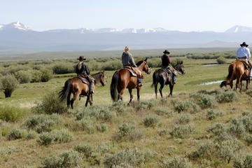 Half-Day Horse Riding Tour to La Palmeraie or Lalla Takerkoust Lake from Marrakech
