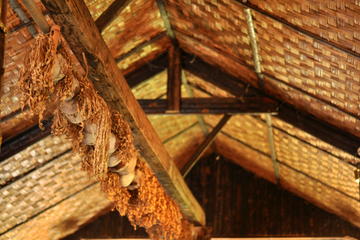 Half-Day Monsopiad Cultural Village and House of Skulls from Kota Kinabalu