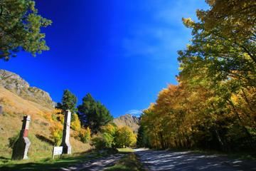 Half-day Skippers Canyon Historical Tour with Jet Boat Ride