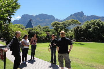 Half-Day Small-Group Beer-Tasting Tour of Cape Town