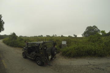 Half-Day Son Tra Peninsula Tour by Jeep