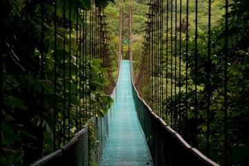 Hanging Bridges Walking Tour in Arenal