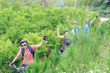 Hanoi Countryside Bike Tour