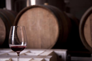 Hidden Wineries of the Uco Valley