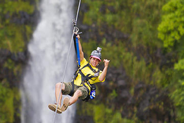 Hilo Shore Excursion: Hamakua Coast Zipline over KoleKole Falls