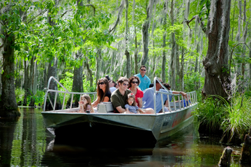 Honey Island Swamp Tour