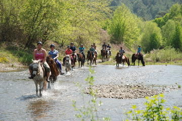 Horse back riding 2-hours in Marmaris