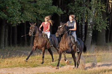 Horseback-Riding Adventure from Bogotá