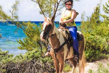 Horseback Riding Tour at Punta Venado Eco Park