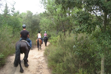 Horseback Riding Tour in Natural Park from Barcelona