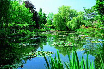 Impressionist Art Tour: Giverny, Chatou and Musée de l'Orangerie
