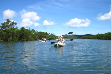 Iriomote Island Kayaking Eco-Tour Including Sangara Falls Hike