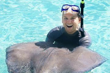 Island Safari and Stingray Fantasy Antigua