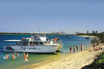 Island Swim and Snorkel Cruise from the Gold Coast