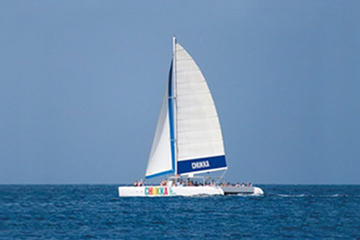 Jamaica Catamaran Cruise to Dunn's River Falls from Ocho Rios or Montego Bay