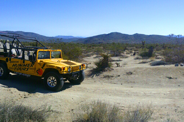 Joshua Tree Hummer Adventure
