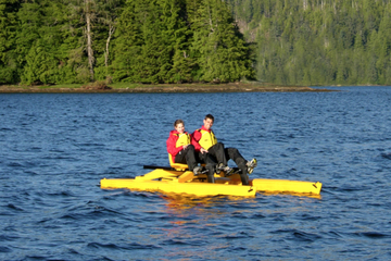 Ketchikan Shore Excursion: Ward Cove Wildlife Seacycle Tour