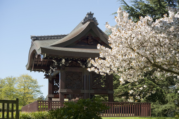 Kew Gardens and Wisley Tour from London