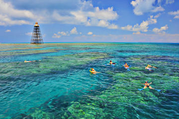 Key West Schooner Sail and Reef Snorkel with Lunch
