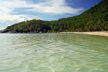 Koh Tao and Koh Nang Yuan including Lunch from Koh Samui