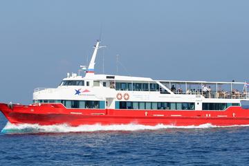 Koh Tao Transfer from Surat Thani Airport by Ferry and Van
