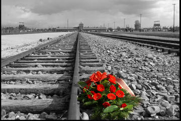 Krakow Super Saver: Auschwitz-Birkenau Half-Day Tour plus Wieliczka Salt Mine Half-Day Tour