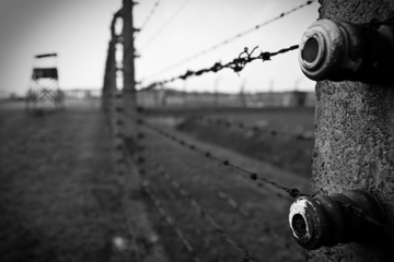 Krakow Super Saver: Auschwitz-Birkenau Tour Plus Jewish History Museum Pass