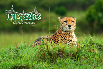 Kruger National Park Overnight Guided Safari Tour from Johannesburg