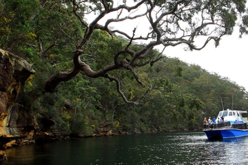 Ku-ring-gai Chase National Park Day Trip from Sydney