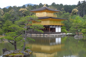 Kyoto Full-Day Sightseeing Tour including Nijo Castle and Kiyomizu Temple