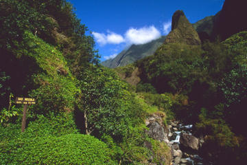 Lahaina Shore Excursion: Tropical Plantation Tour and Iao Valley with Optional Maui Ocean Center