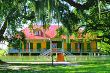 Laura Plantation Tour With Private Transportation