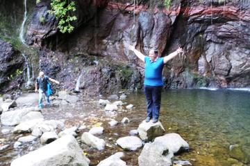 Levada do Rabacal Walk and Jeep Tour