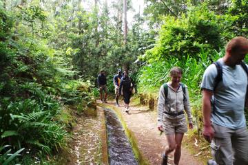 Levada do Rei Walk plus Off-Road 4X4