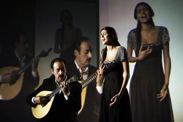 Live Fado Tour in Lisbon