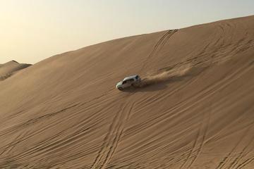 Liwa Full-Day Tour from Abu Dhabi