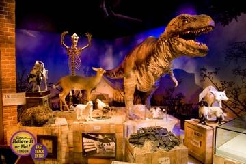 London Combo: Ripley's Believe It or Not! Ticket and Planet Hollywood Meal