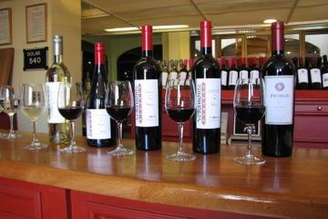Luján de Cuyo Wine-Tasting Tour from Mendoza