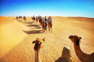 Luxury Desert Experience: Camel Safari with Dinner and Emirati Activities with Transport from Dubai