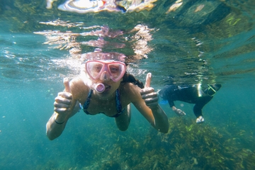 Manly Snorkeling Tour and Nature Walk