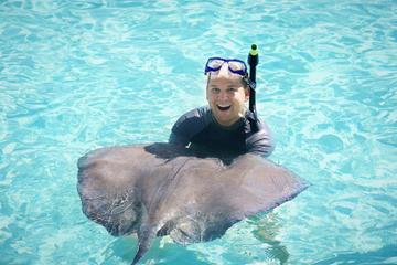 Marinarium Snorkel Cruise from La Romana